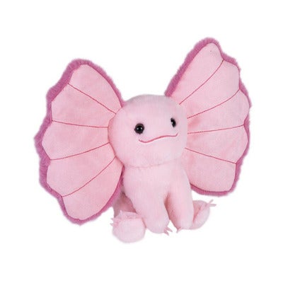 EARKINS AXOLOTL 