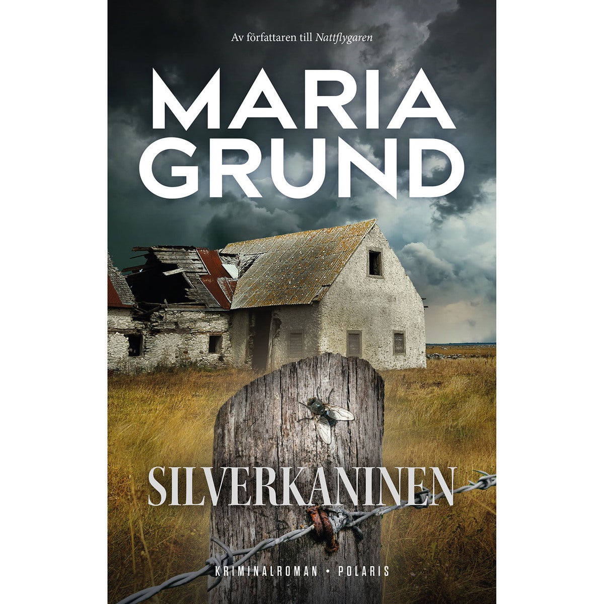 Sanna Berling - Bok 3: Silverkaninen (pocket)