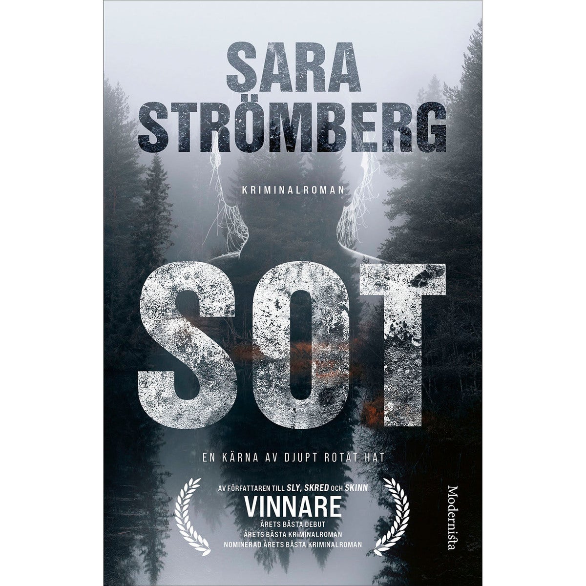 Vera Bergström - Bok 4: Sot