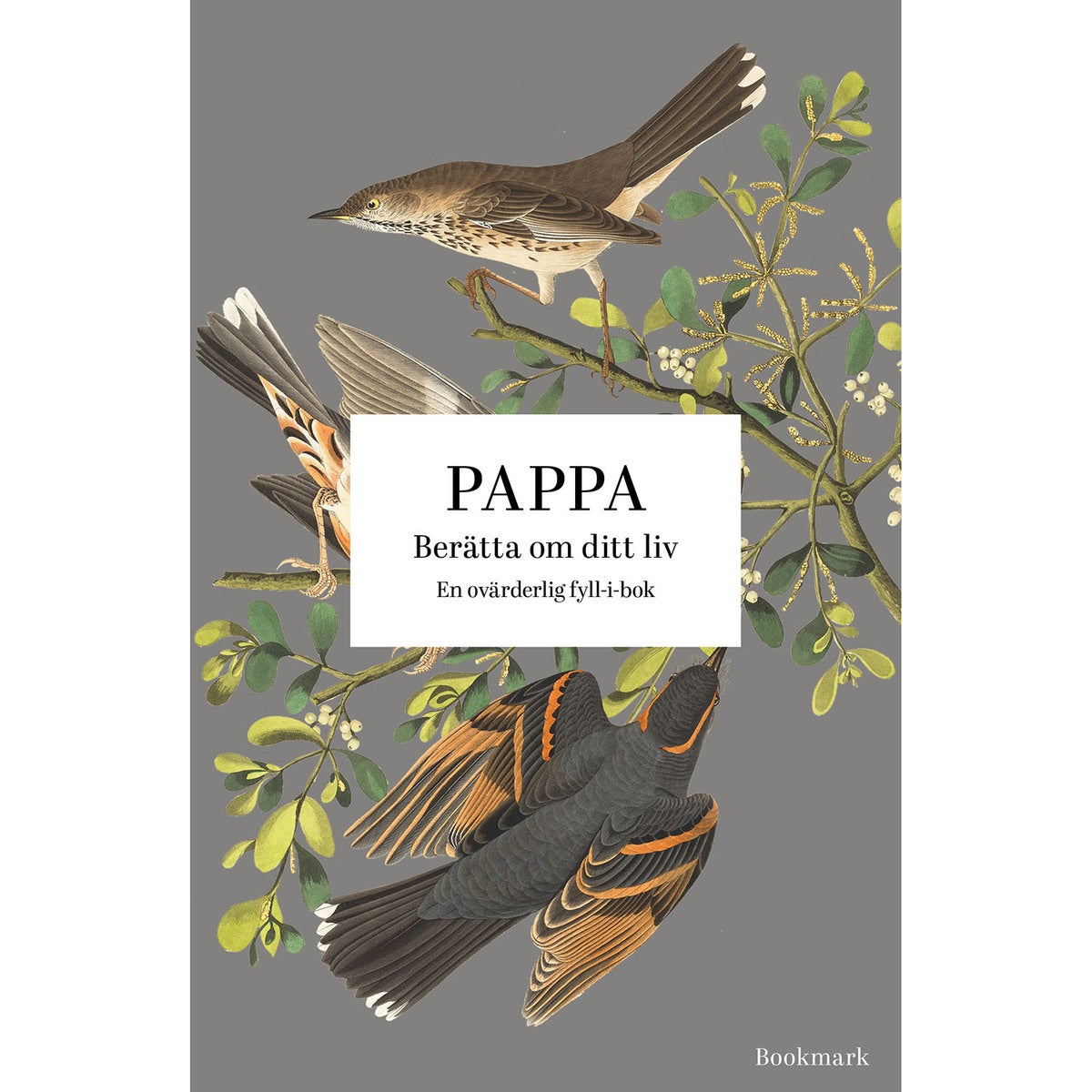 Pappa: Berätta om ditt liv