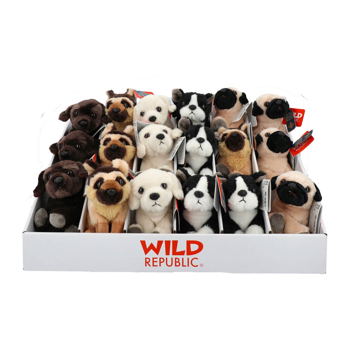 WILD R Pocketkins Dogs ECO 18pcs -Asst CDU