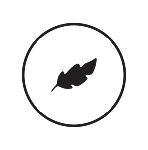 manfrotto-icon-lightweight.png