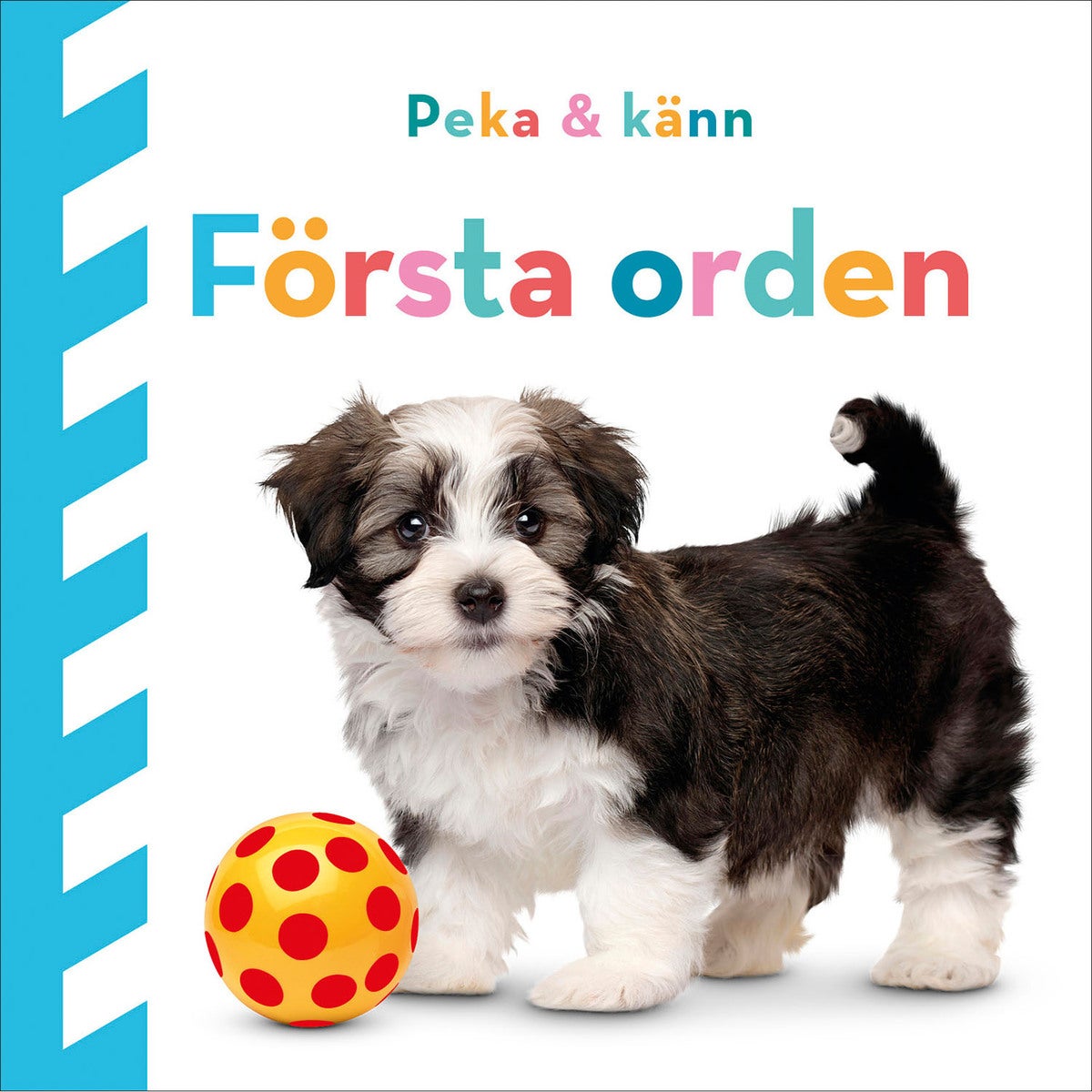 Peka och känn: Första orden