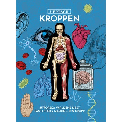 Upptäck kroppen