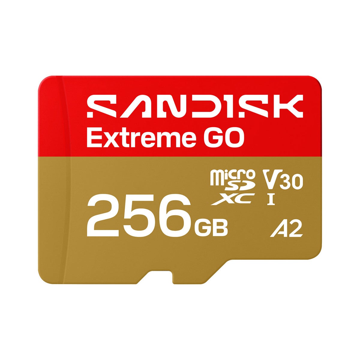 MicroSD Extreme GO 256GB 240/160MB/s C10 UHS U3 V30 A1