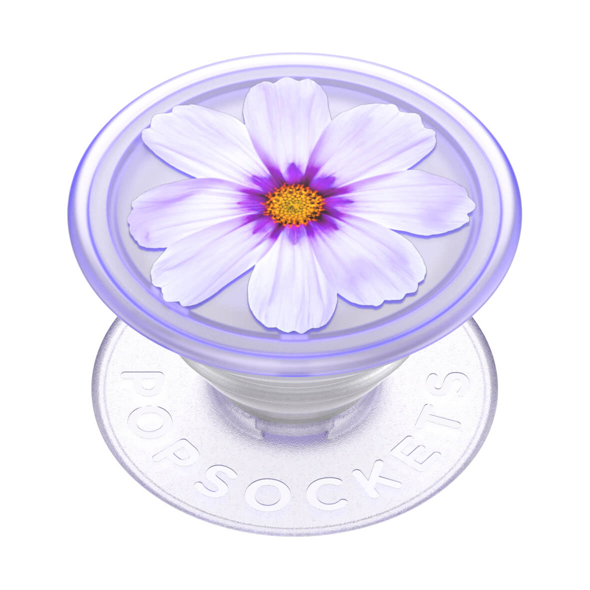 PopGrip Plant Purple Cosmo