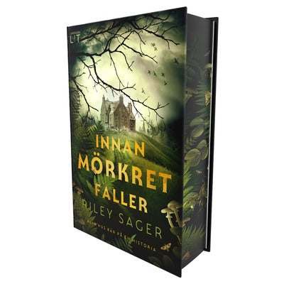 Innan mörkret faller