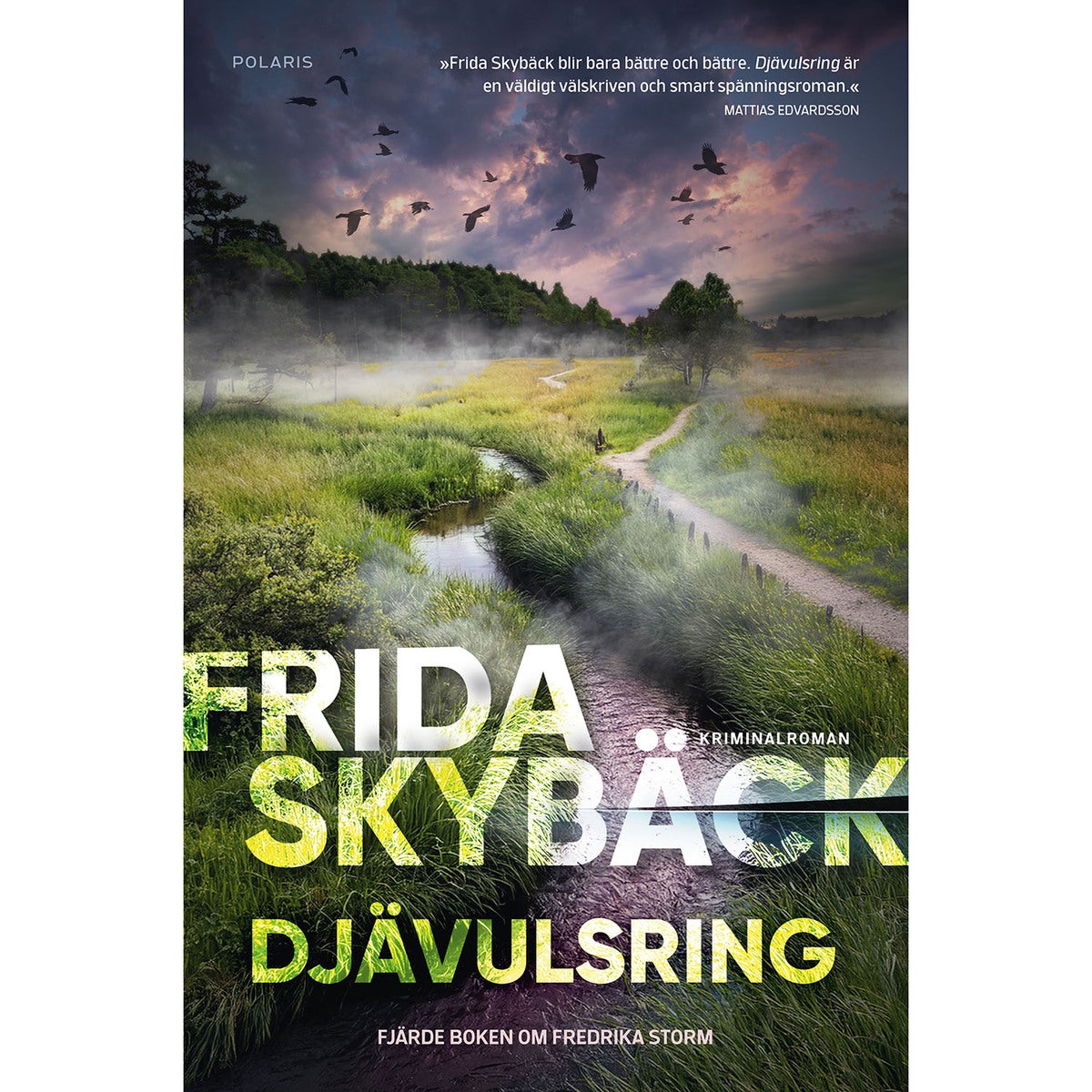 Fredrika Storm - Bok 4: Djävulsring (pocket)